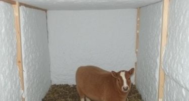 Утепление клеток на зиму: материалы и методы, которые реально работают