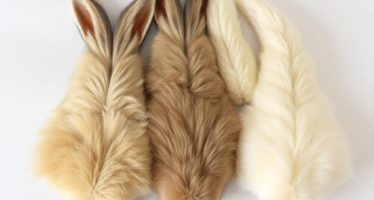 Продажа шкурок кроликов: подготовка и рынок — как превратить простой ресурс в прибыль