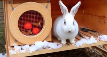 Отопление крольчатника зимой: как держать тепло без сюрпризов и лишних расходов
