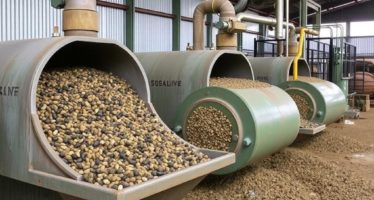 Переработка навоза: сушка и гранулирование — превращение отхода в ценный ресурс