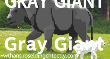 Серый Великан: разведение и продуктивность