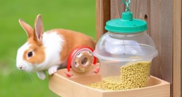 Кормушки и поилки для кроликов: выбор и установка — как сделать рацион питомца удобным и чистым