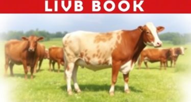 Регистрация поголовья: племенные книги — карта роста фермы и прозрачности родословной