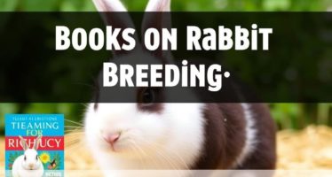 Книги по кролиководству: топ‑10 рекомендаций