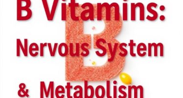 Витамины группы В: нервная система и обмен веществ — как они питают мозг и тело