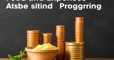 Учёт кормов и затрат: таблицы и программы — путь к прозрачной эффективности на ферме