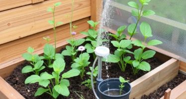 Автопоение для крольчатника: схемы и монтаж