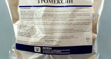 Препарат Тромексин
