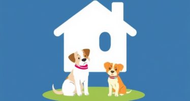 Страхование домашних животных: зачем, когда и как выбрать полис, который действительно поможет