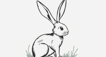 Карточки учёта кроликов: форма и ведение — практичный гид для хозяйства любого масштаба