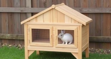 Шеды для кроликов: проектирование и материалы — как выстроить безопасное и уютное убежище