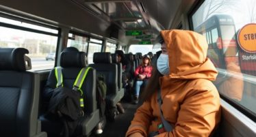 Стресс при перевозке: профилактика