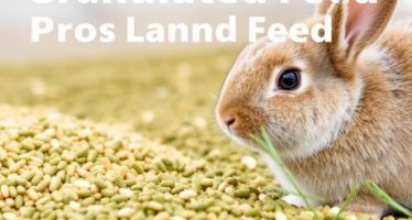 Гранулированные корма: плюсы и минусы для кроликов