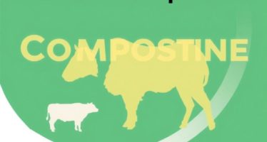 Компостирование навоза: технология, возвращающая плодородие почве