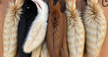 Продажа шкурок кроликов: подготовка и рынок