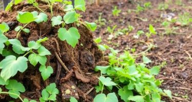 Утилизация навоза: компостирование