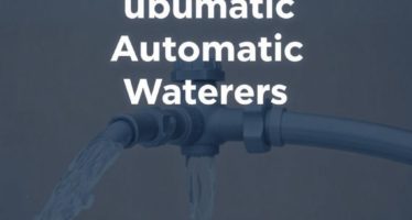 Автоматические поилки: виды и обслуживание