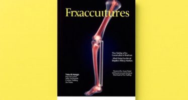 Переломы лап: фиксация и реабилитация — путь к возвращению подвижности