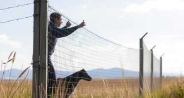 Защита от хищников: сетки, заборы, отпугиватели — как выбрать эффективную стратегию