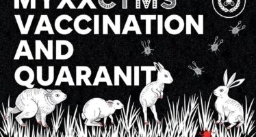 Миксоматоз: вакцинация и карантин — как выстроить эффективную защиту поголовья