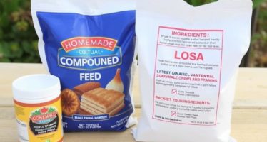 Самодельный комбикорм: рецепт и ингредиенты — как приготовить качественный корм для птицы и мелких животных своими руками