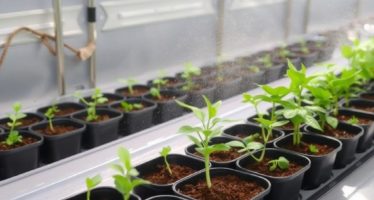 Системы микроклимата: контроль температуры и влажности