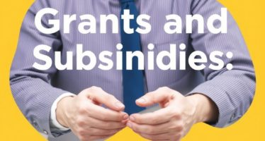 Гранты и субсидии: как получить поддержку