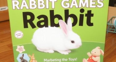 Игры кроликов: активность и игрушки — как превратить клетку в полигон для любопытства