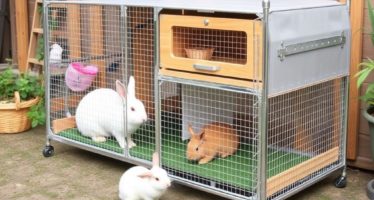 Передвижные клетки для кроликов: мобильность и удобство