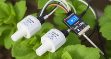 Автоматизация фермы: датчики температуры и влажности — как умные сенсоры меняют аграрный ландшафт