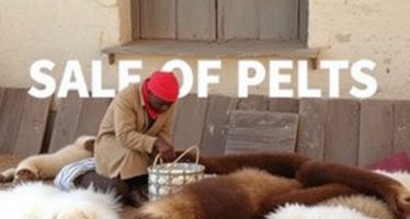 Продажа шкурок: подготовка и рынок