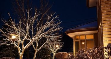 Искусственное освещение зимой: лампы и режимы