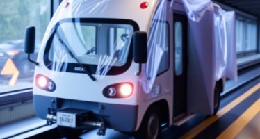 Адаптация после перевозки: рекомендации