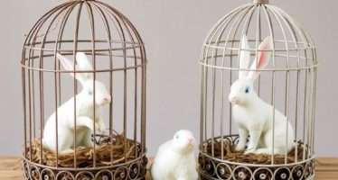 Клетки для декоративных кроликов: дизайн и материалы