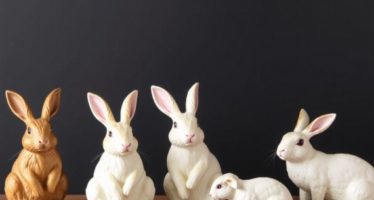 Декоративные кролики: спрос и цены в современном рынке